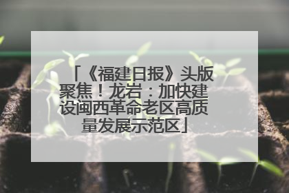《福建日报》头版聚焦！龙岩：加快建设闽西革命老区高质量发展示范区