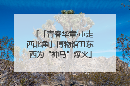 「青春华章·重走西北角」博物馆丑东西为“神马”爆火