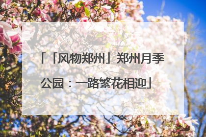 「风物郑州」郑州月季公园：一路繁花相迎