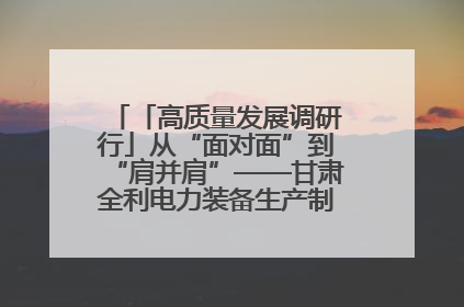 「高质量发展调研行」从“面对面”到“肩并肩”——甘肃全利电力装备生产制造项目一线见闻