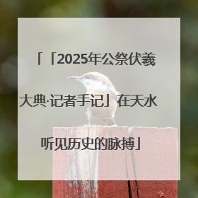 「2025年公祭伏羲大典·记者手记」在天水 听见历史的脉搏