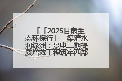 「2025甘肃生态环保行」一渠清水润绿洲：景电二期提质增效工程筑牢西部生态安全屏障