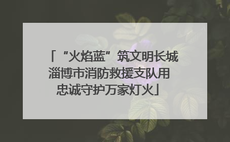 “火焰蓝”筑文明长城 淄博市消防救援支队用忠诚守护万家灯火