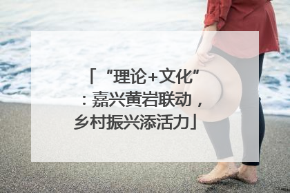 “理论+文化”：嘉兴黄岩联动，乡村振兴添活力
