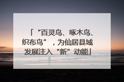 “百灵鸟、啄木鸟、织布鸟”，为仙居县域发展注入“新”动能