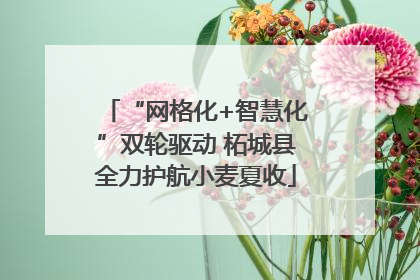 “网格化+智慧化”双轮驱动 柘城县全力护航小麦夏收