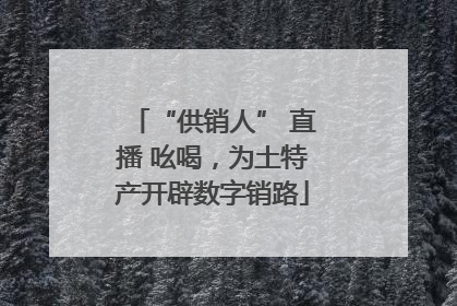 “供销人” 直播 吆喝，为土特产开辟数字销路