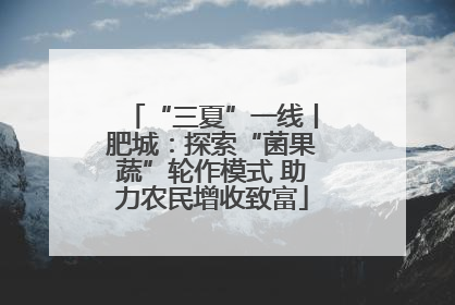 “三夏”一线丨肥城：探索“菌果蔬”轮作模式 助力农民增收致富