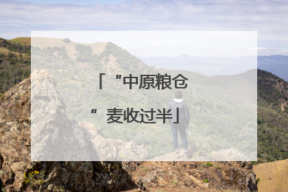 “中原粮仓”麦收过半