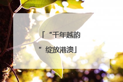 “千年越韵”绽放港澳