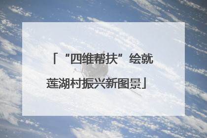 “四维帮扶”绘就莲湖村振兴新图景