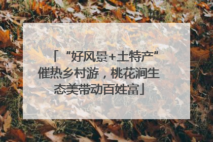 “好风景+土特产”催热乡村游，桃花涧生态美带动百姓富