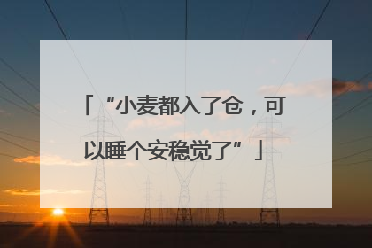 “小麦都入了仓，可以睡个安稳觉了”