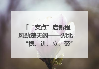 “支点”启新程 风劲楚天阔——湖北“稳、进、立、破”谱写“荆”彩篇章