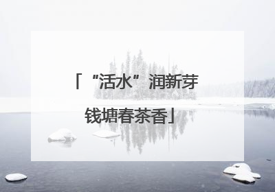 “活水”润新芽 钱塘春茶香