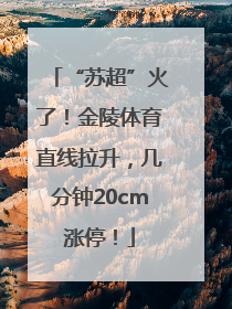 “苏超”火了！金陵体育直线拉升，几分钟20cm涨停！