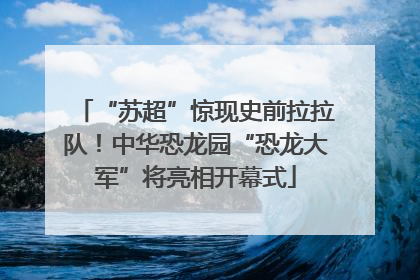 “苏超”惊现史前拉拉队！中华恐龙园“恐龙大军”将亮相开幕式