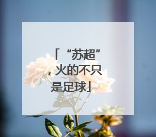 “苏超”，火的不只是足球