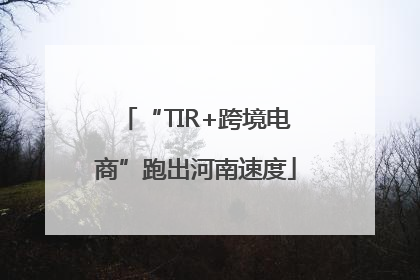 “TIR+跨境电商”跑出河南速度