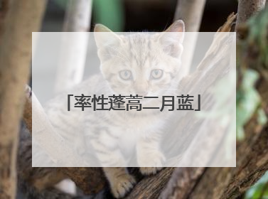 率性蓬蒿二月蓝