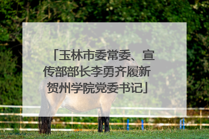 玉林市委常委、宣传部部长李勇齐履新贺州学院党委书记