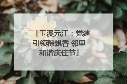 玉溪元江：党建引领粽飘香 邻里和谐庆佳节