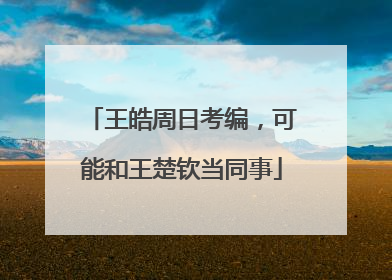 王皓周日考编，可能和王楚钦当同事