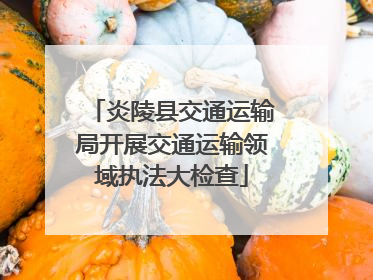 炎陵县交通运输局开展交通运输领域执法大检查