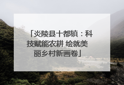 炎陵县十都镇：科技赋能农耕 绘就美丽乡村新画卷