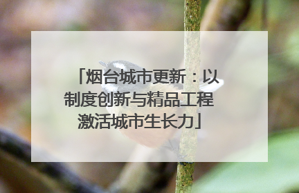 烟台城市更新：以制度创新与精品工程激活城市生长力