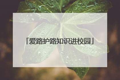 爱路护路知识进校园