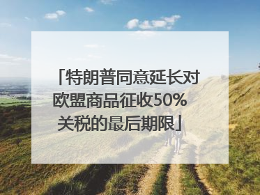 特朗普同意延长对欧盟商品征收50%关税的最后期限