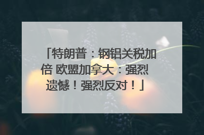 特朗普：钢铝关税加倍 欧盟加拿大：强烈遗憾！强烈反对！