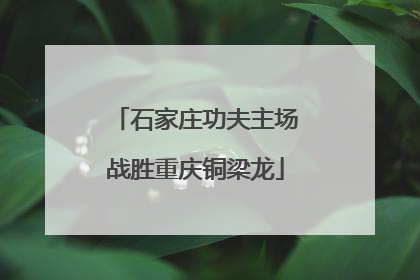 石家庄功夫主场战胜重庆铜梁龙