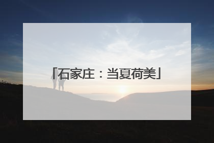 石家庄：当夏荷美