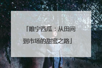 睢宁西瓜：从田间到市场的甜蜜之路