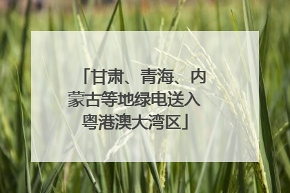 甘肃、青海、内蒙古等地绿电送入粤港澳大湾区