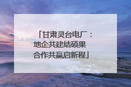 甘肃灵台电厂：地企共建结硕果 合作共赢启新程