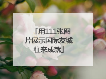 用111张图片展示国际友城往来成就