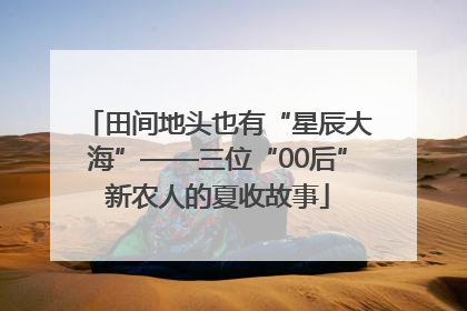 田间地头也有“星辰大海”——三位“00后”新农人的夏收故事