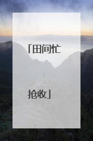 田间忙抢收