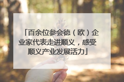 百余位参会德（欧）企业家代表走进顺义，感受顺义产业发展活力