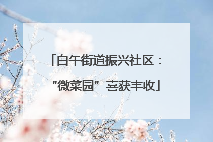 白午街道振兴社区：“微菜园”喜获丰收