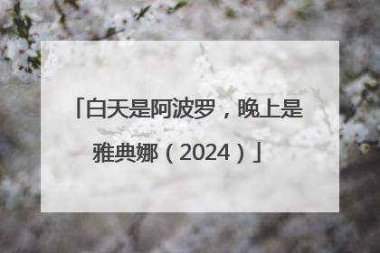 白天是阿波罗，晚上是雅典娜（2024）