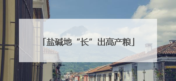 盐碱地“长”出高产粮