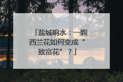 盐城响水：一颗西兰花如何变成“致富花”？
