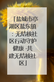 盐城市亭湖区盐东镇：无结核社区行动守护健康 ·共建无结核社区