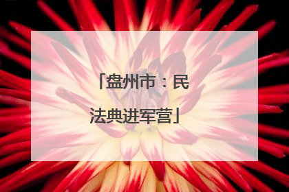 盘州市：民法典进军营
