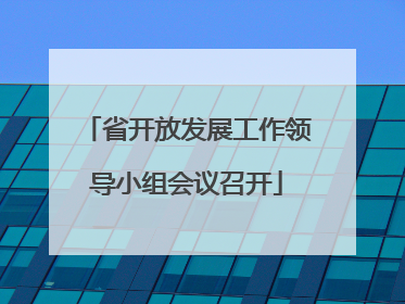 省开放发展工作领导小组会议召开