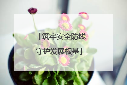 筑牢安全防线 守护发展根基